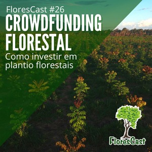 FloresCast #26 - CROWDFUNDING FLORESTAL - Como investir em plantios florestais?