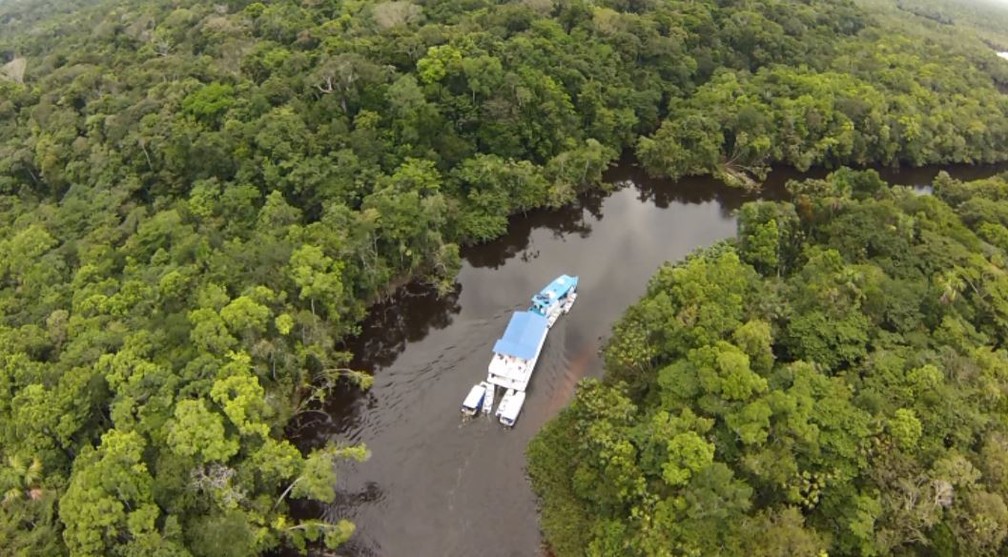 Imazon integra projeto para desenvolvimento de cadeias de produtos da floresta na Norte do Pará