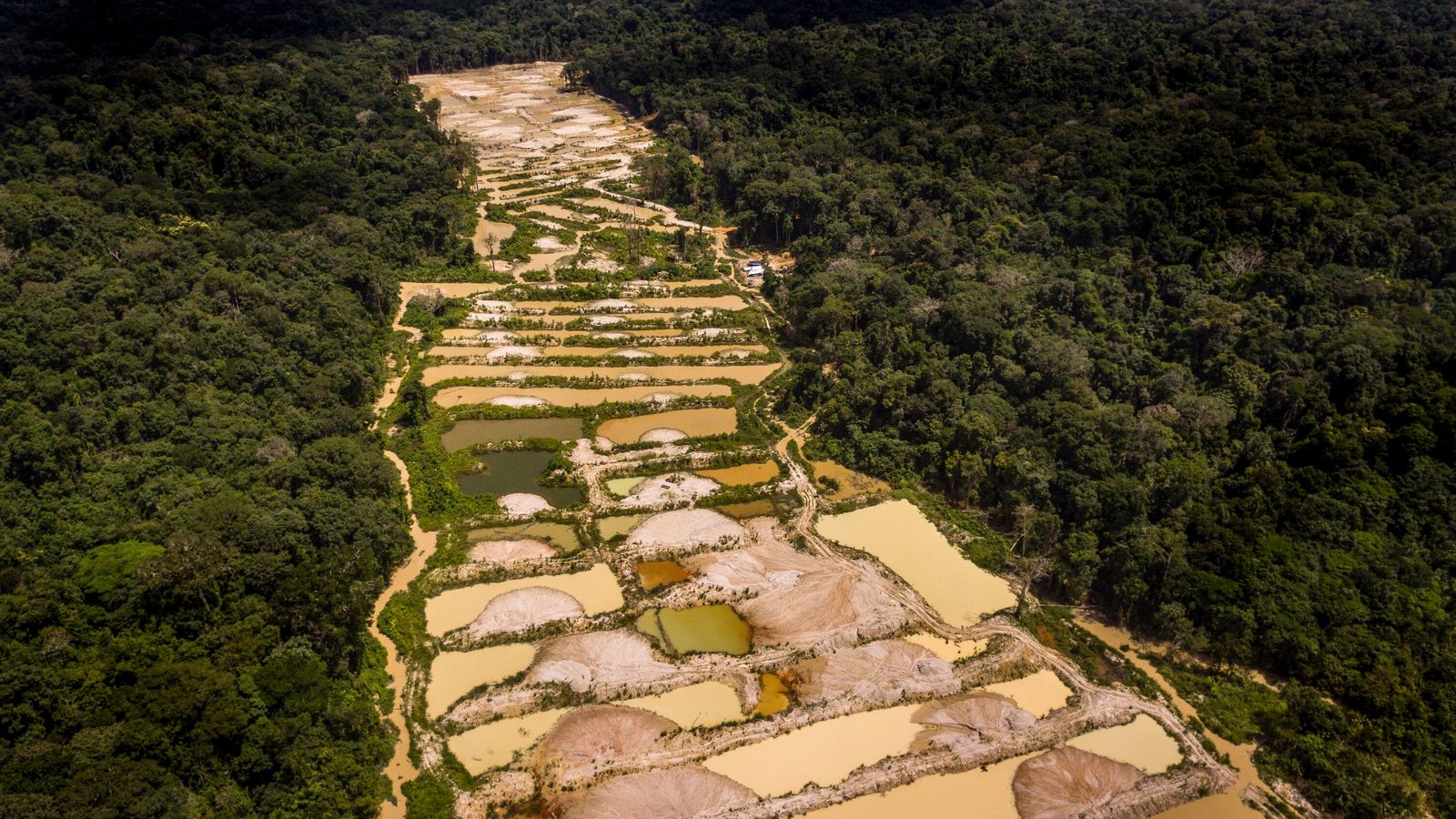 A Polícia Federal (PF) investiga o cantor Alexandre Pires, suspeito de integrar um esquema de garimpo ilegal em Terras Indígenas Yanomami. Ao todo, a organização teria movimentado R$ 250 milhões. A informação foi publicada pelo portal Metrópoles.