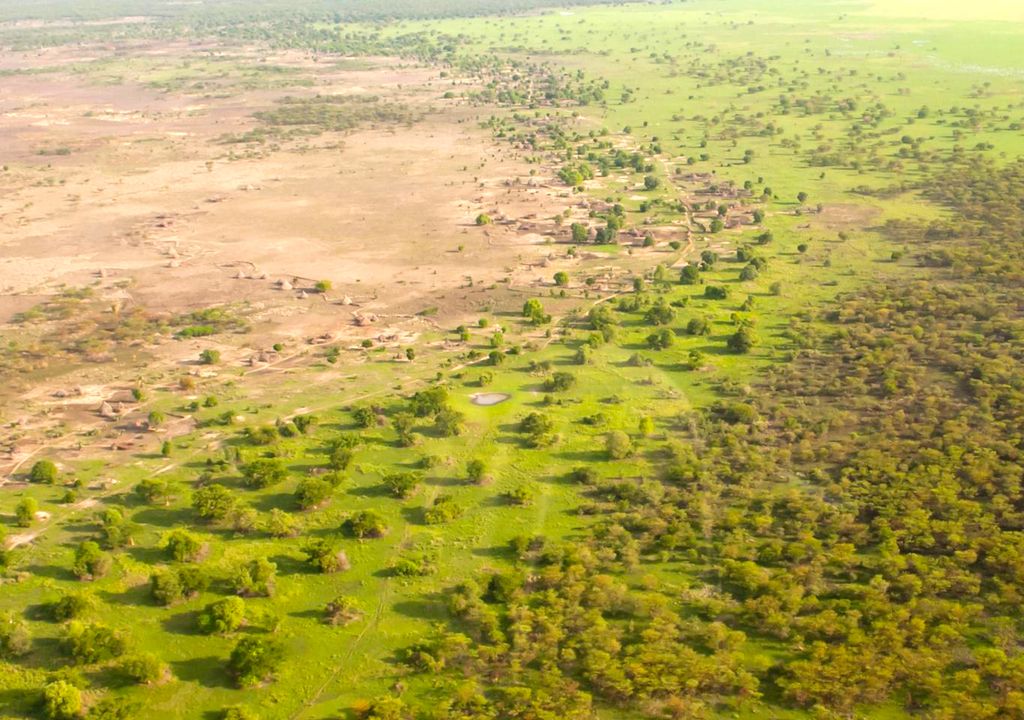 A Grande Muralha Verde Africana fará mudanças no clima