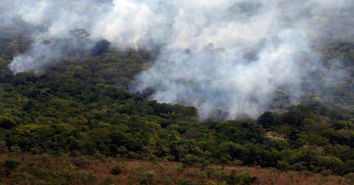 Incêndios na Amazônia aumentaram cerca de 13% em relação a 2021 segundo INPE