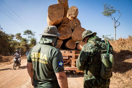 Projeto de Lei prevê proibir empresários envolvidos no comércio ilegal de madeira de abrir novas empresas em Mato Grosso