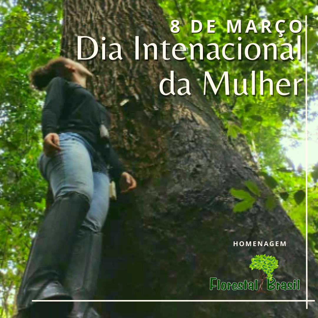 8 de março - Dia Internacional da Mulher