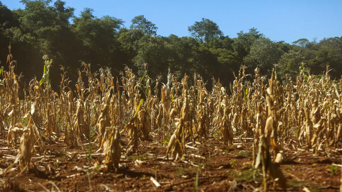 As mais recentes diretrizes para o enfrentamento da mudança do clima