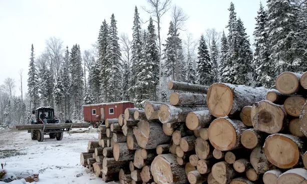 FSC suspende certificação de empresas da Rússia até que a invasão termine