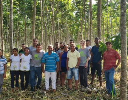 Com agroflorestas em áreas desmatadas, a Floresta S/A quer recuperar a biodiversidade e atrair investidores para a Amazônia