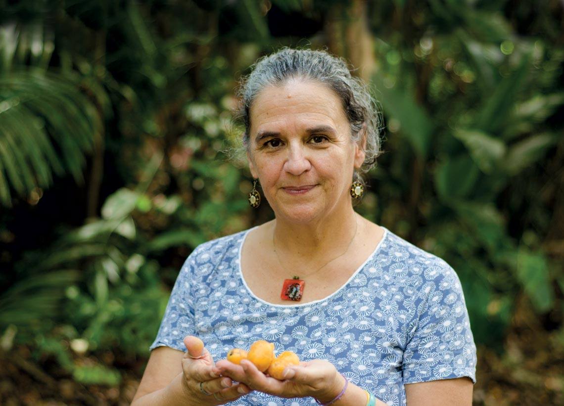 Desafios amazônicos