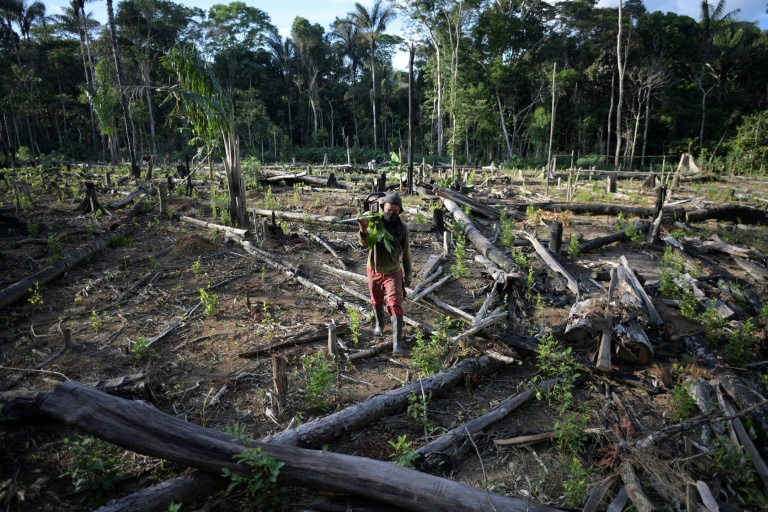 O "ponto de inflexão" da Amazônia está mais próximo e isso é preocupante!