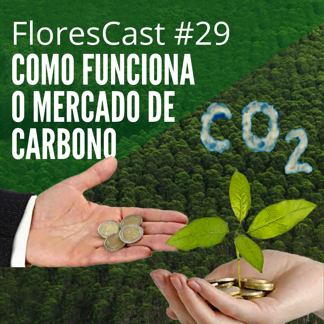 FloresCast #29 - Como funciona o mercado de carbono