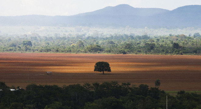 Senado coloca em pauta projeto que amplia anistia para quem desmatou reserva legal