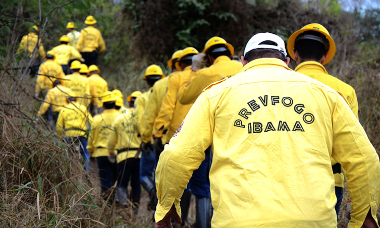 Processo Seletivo IBAMA 2022: Sai edital com 1.143 vagas de até R$ 6 mil na Prevfogo