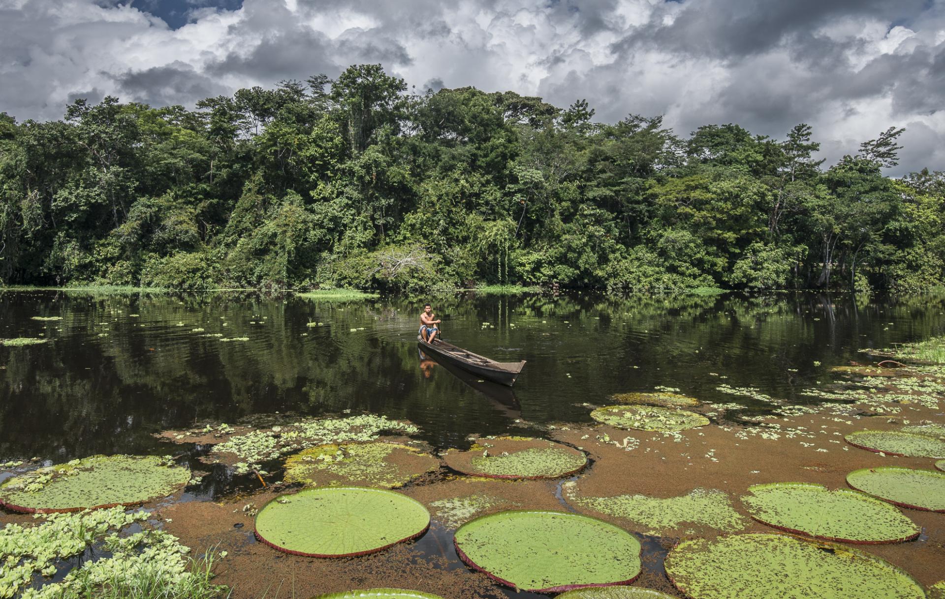 Projeto de lei ambiental do Parlamento Europeu provoca preocupações e elogios