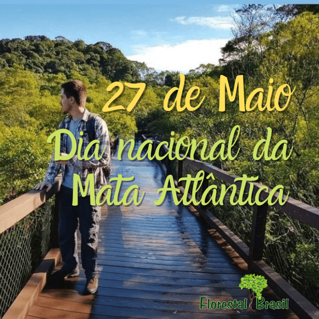 Dia nacional da Mata Atlântica