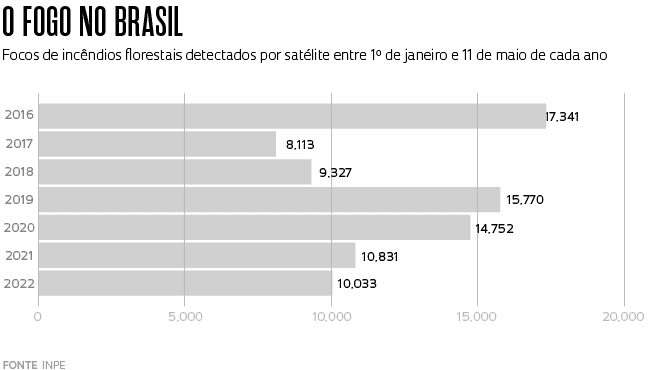 Incêndios florestais enfraquecem vegetação nativa