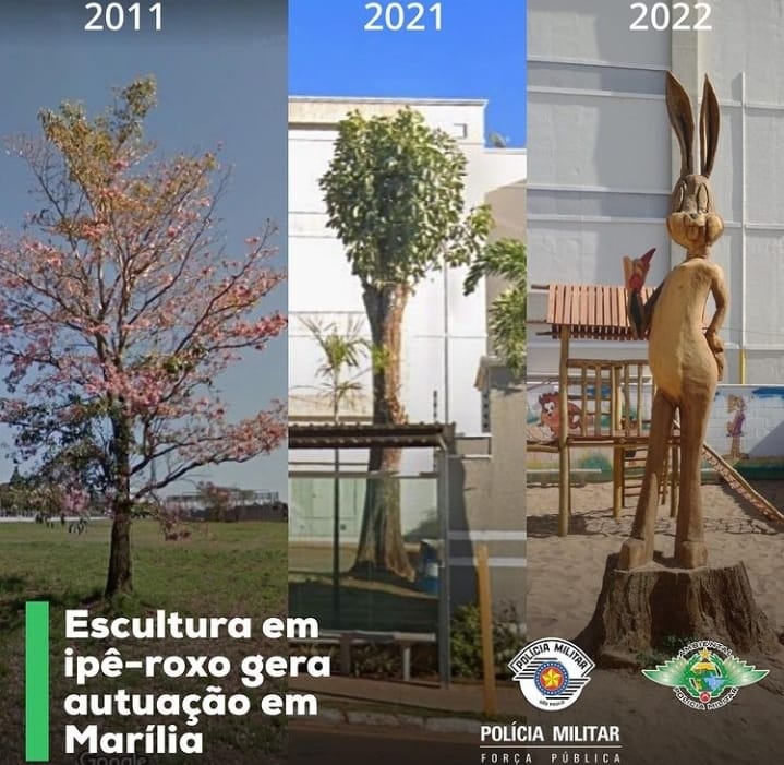 Como transformar um Ipê-roxo no Pernalonga?