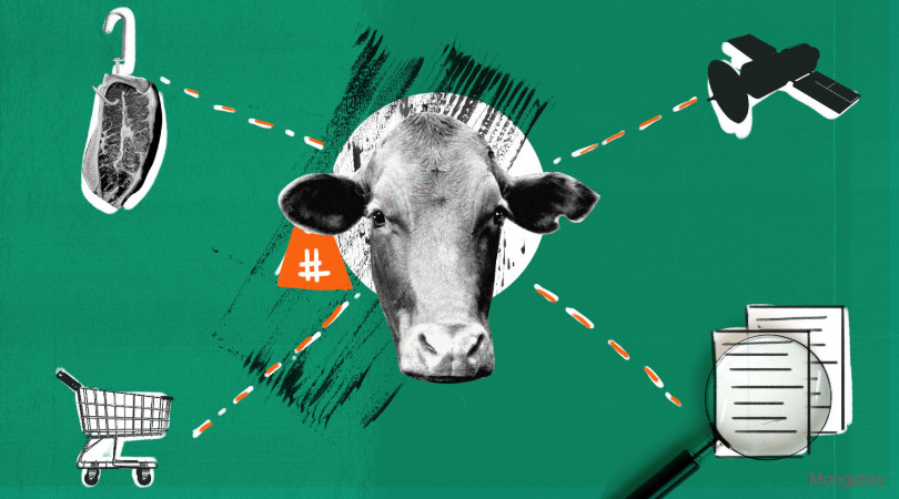Foi realizado no MT a primeira reunião para debater a rastreabilidade bovina