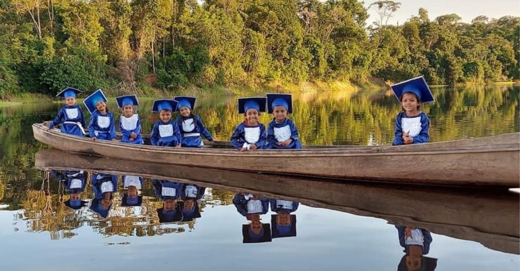 Como Projeto inspirado nos EUA - MIT planeja ajudar a Amazônia até 2031?