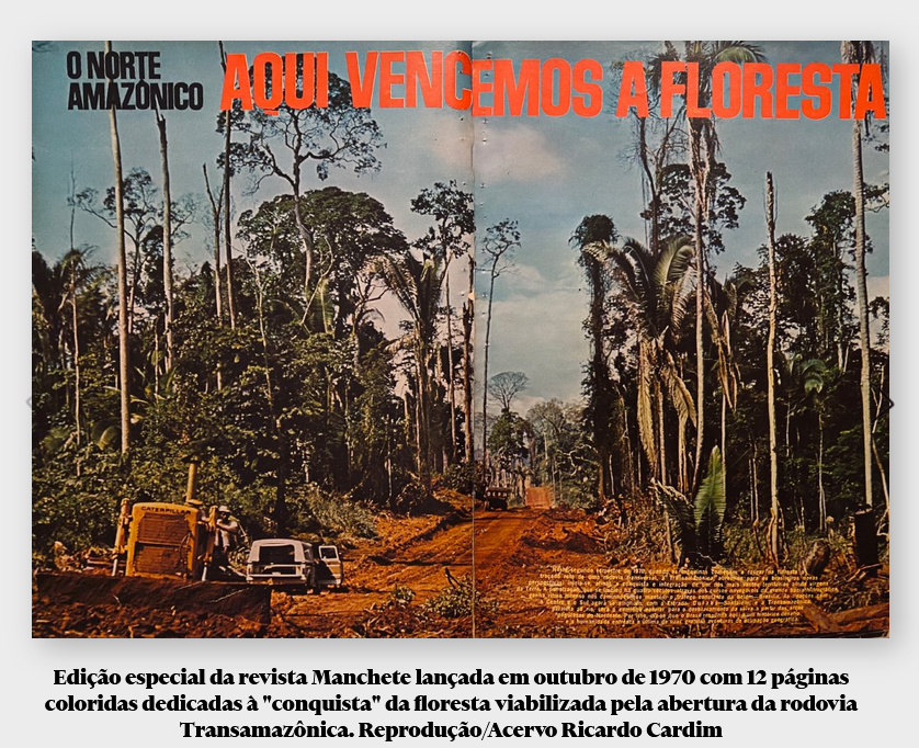 Mogno Brasileiro – Uma história de sucesso? Pra quem?