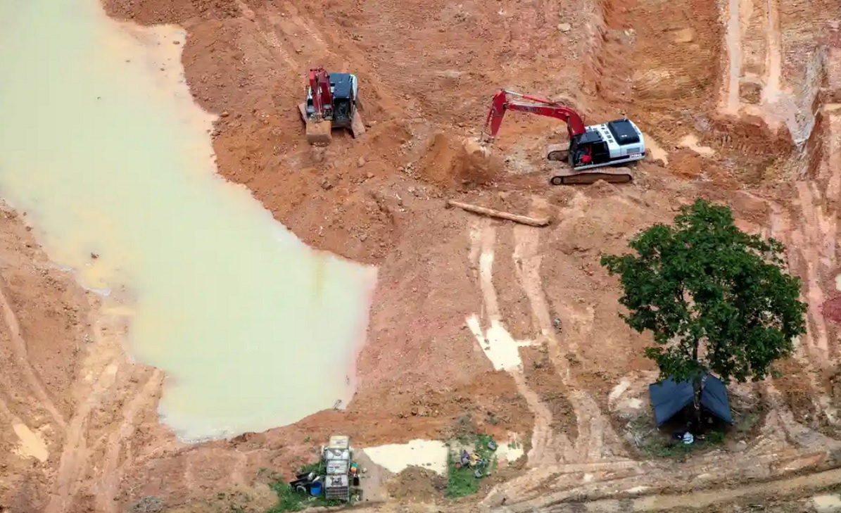 Máquinas da Hyundai são usadas na destruição da Amazônia, diz Greenpeace