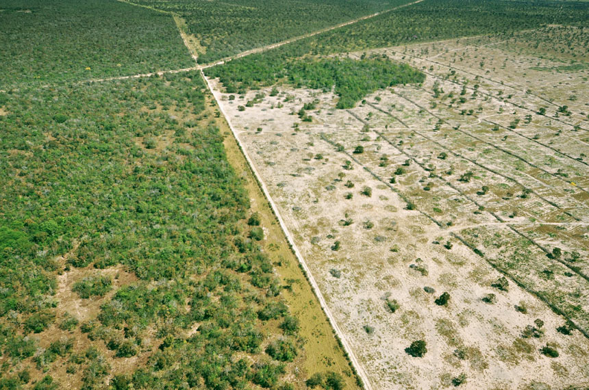 Grandes lavouras estão chegando perto do Pantanal