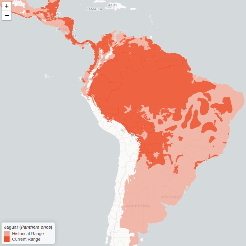 Área de ocorrência da onça-pintada