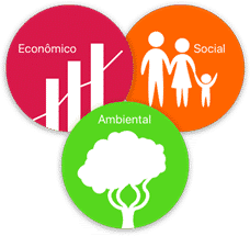 Manejo florestal detém desmatamento e ajuda economia!?
