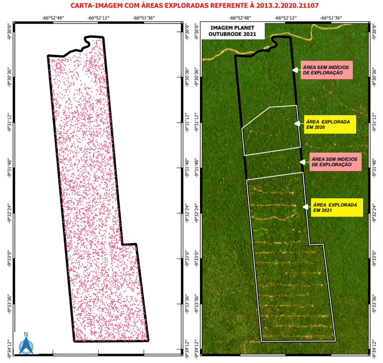 Cinco planos de manejo florestal no Amazonas foram suspensos pelo Ibama por fraude