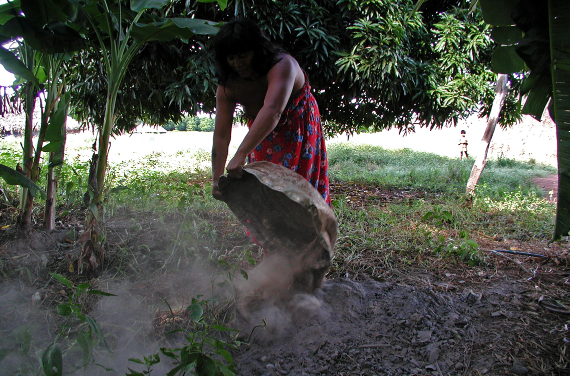 Possível origem da terra preta de índio na Amazônia