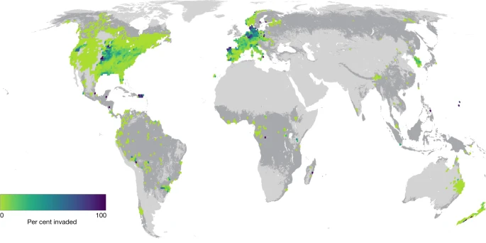 árvores nativas protegem contra árvores não nativas