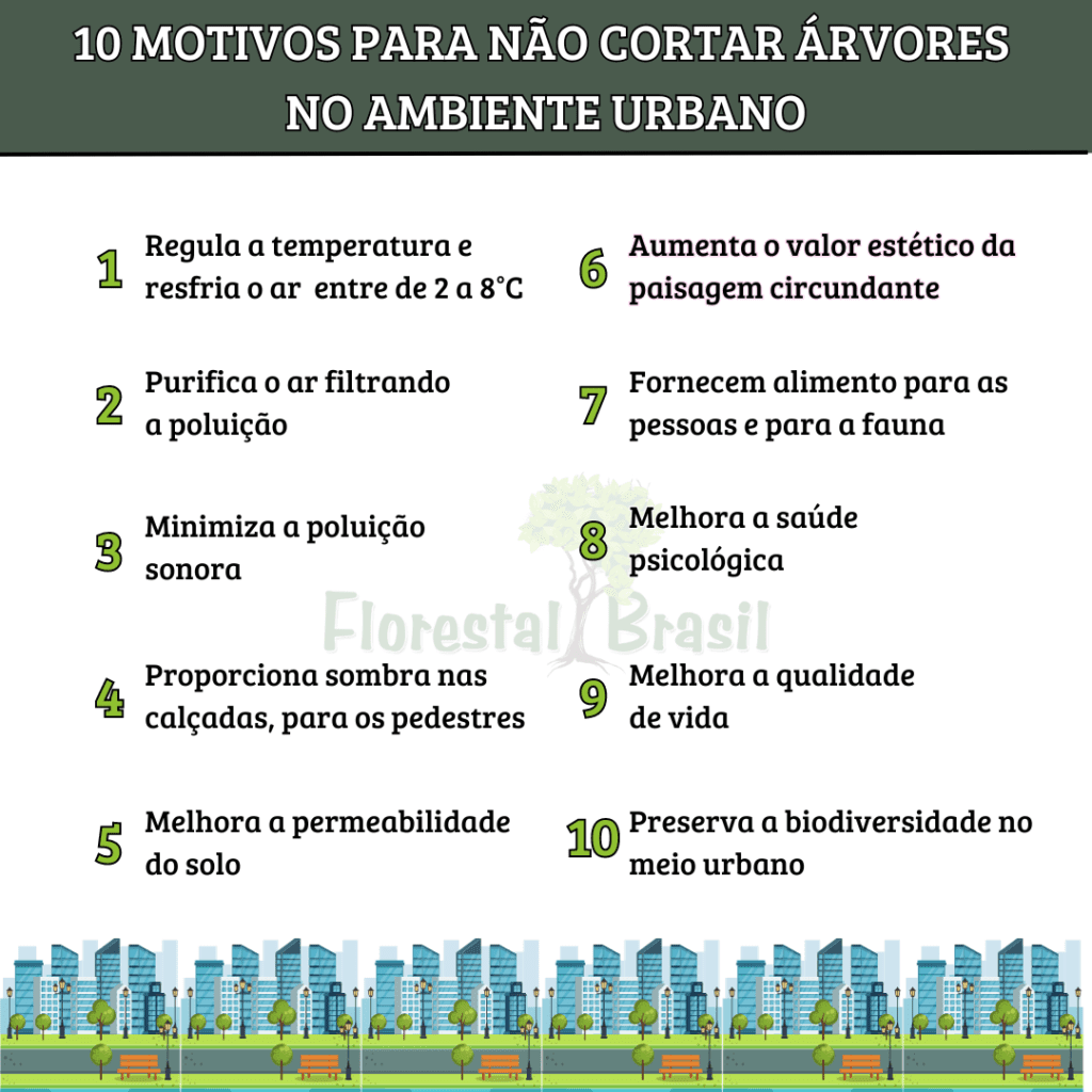 motivos para não cortar árvores
