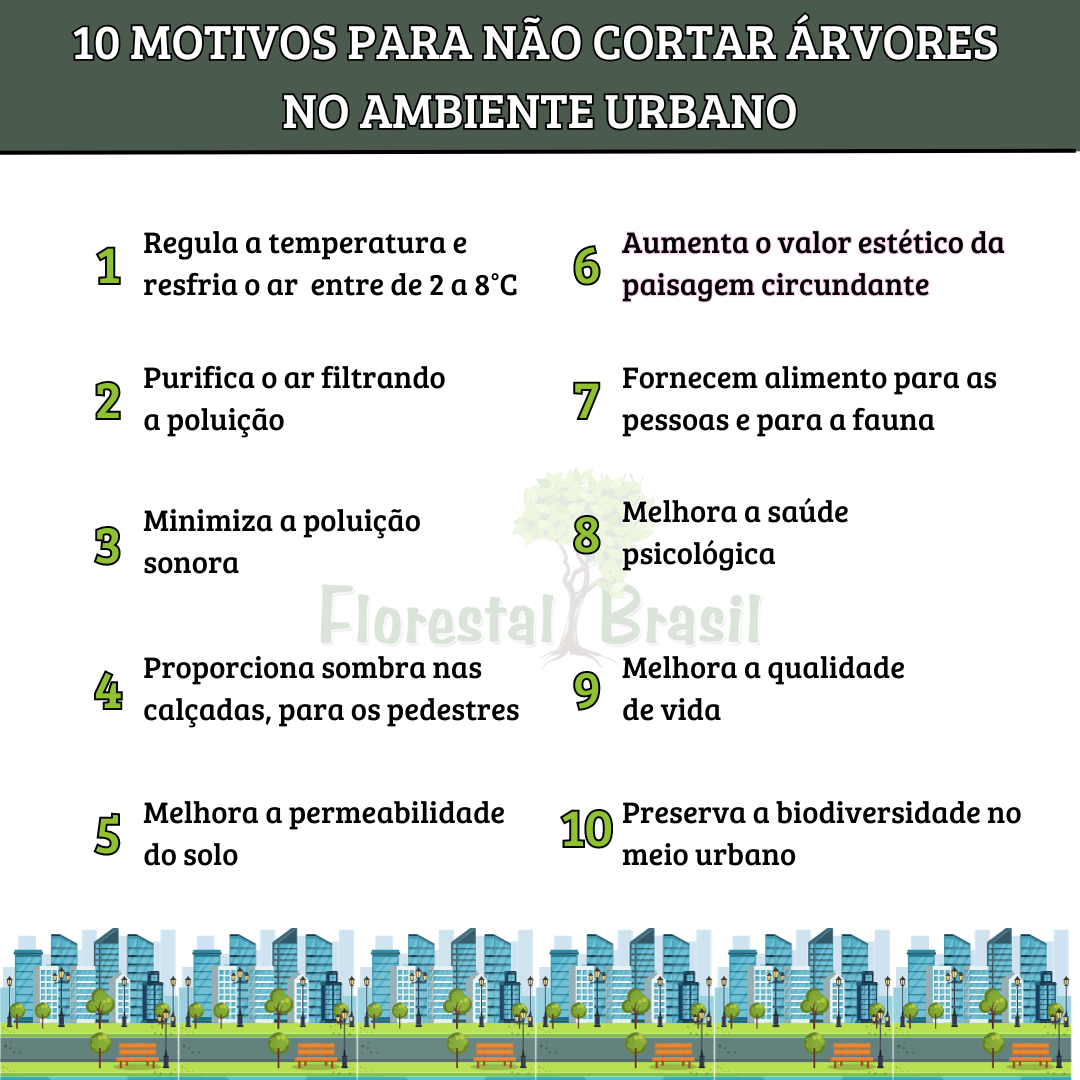 10 motivos para não cortar árvores urbanas