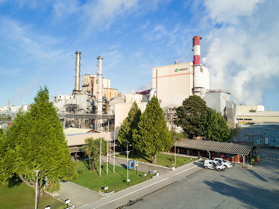 Arauco demite 300 no Chile, mas mantém plano de R$ 28 bilhões para MS