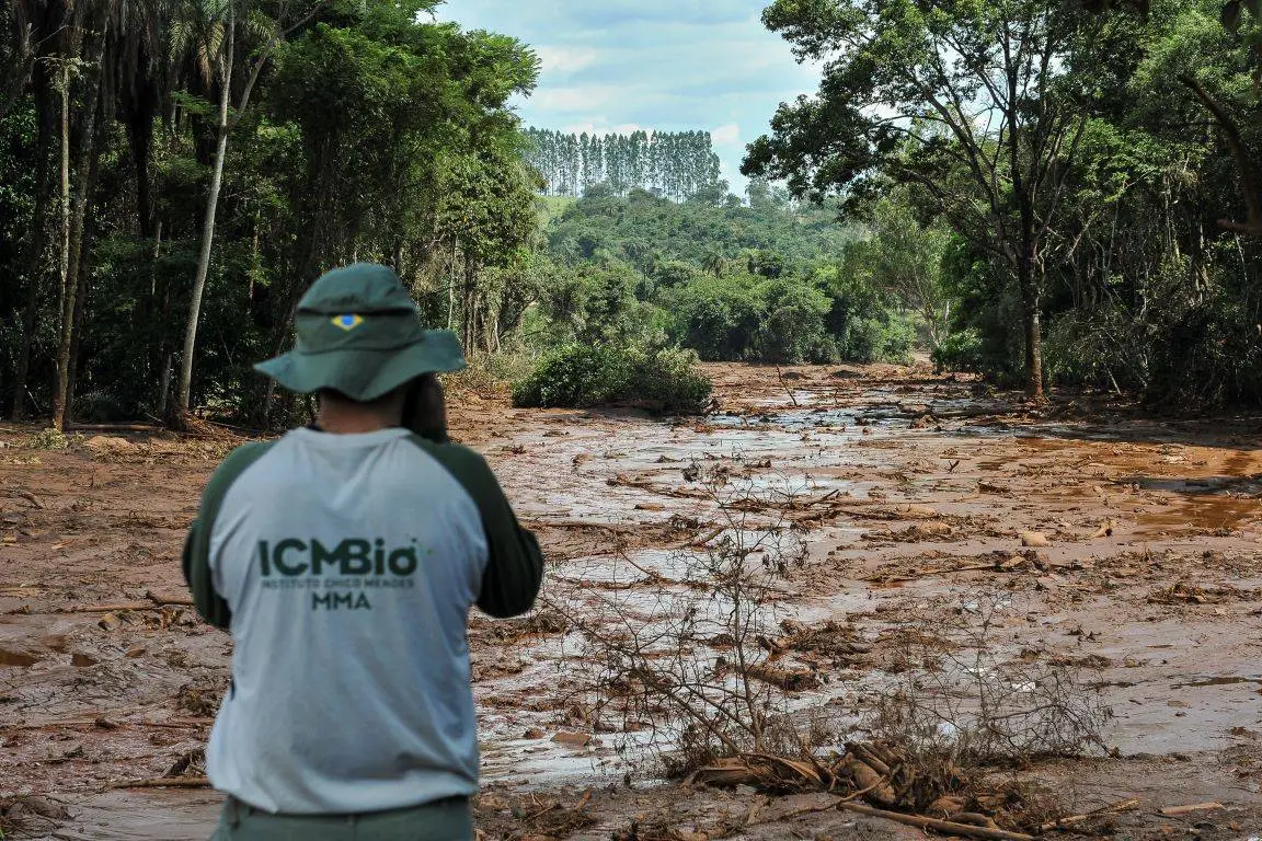 Concurso ICMBio 2024: Banca Definida e Novidades sobre o Edital com 350 Vagas