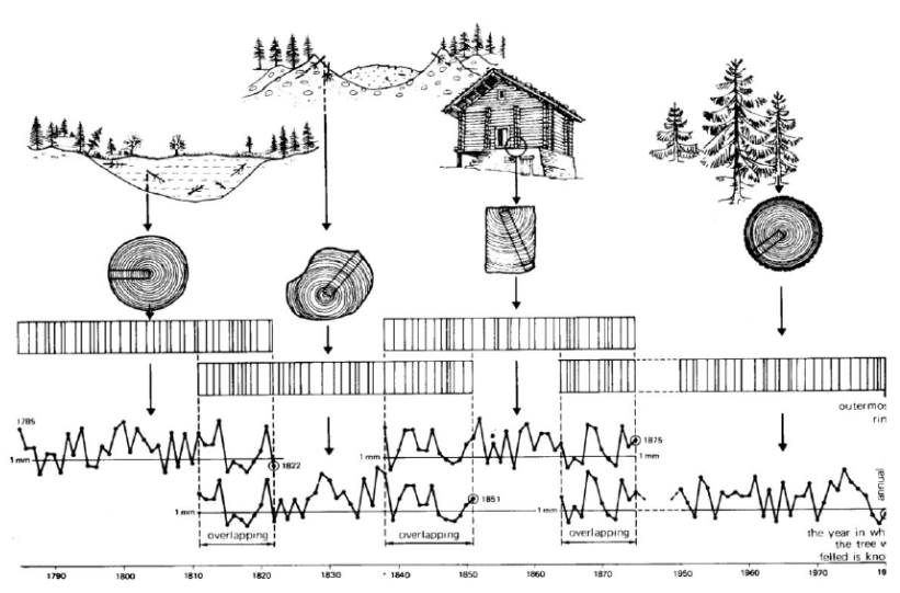 dendrocronologia datação