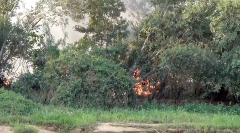 A seca e os incêndios na Amazônia têm o potencial de agravar as queimadas no Pantanal