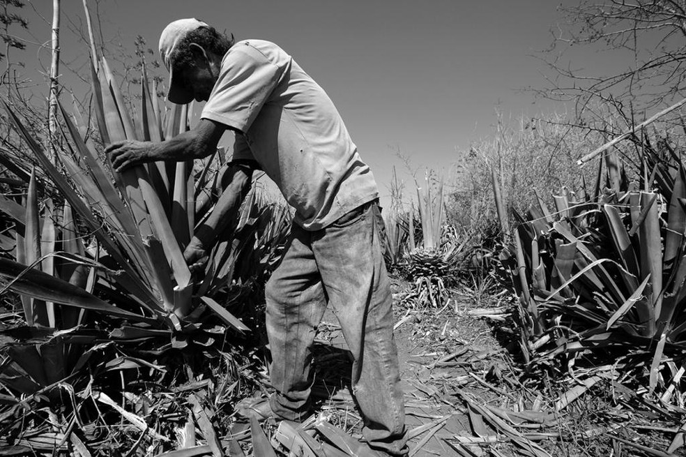 "O trabalho doméstico no Brasil provém de uma construção sociohistóricaestreitamente ligada ao sistema colonial escravista. Foi estruturado precariamente e evidencia a influência desse período na formação de uma sociedade marcada pela segregação de raça, gênero e classe." Eduardo Oliveira Silva e Rosana de Freitas Santana