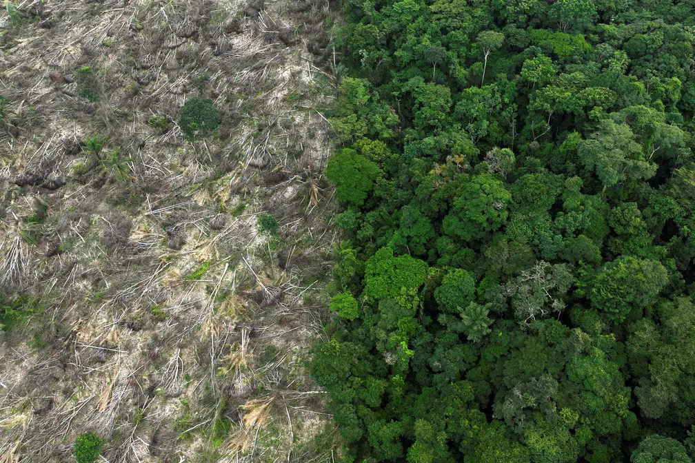 Amazônia teve desmatamento em 900 mil hectares, redução de 22%