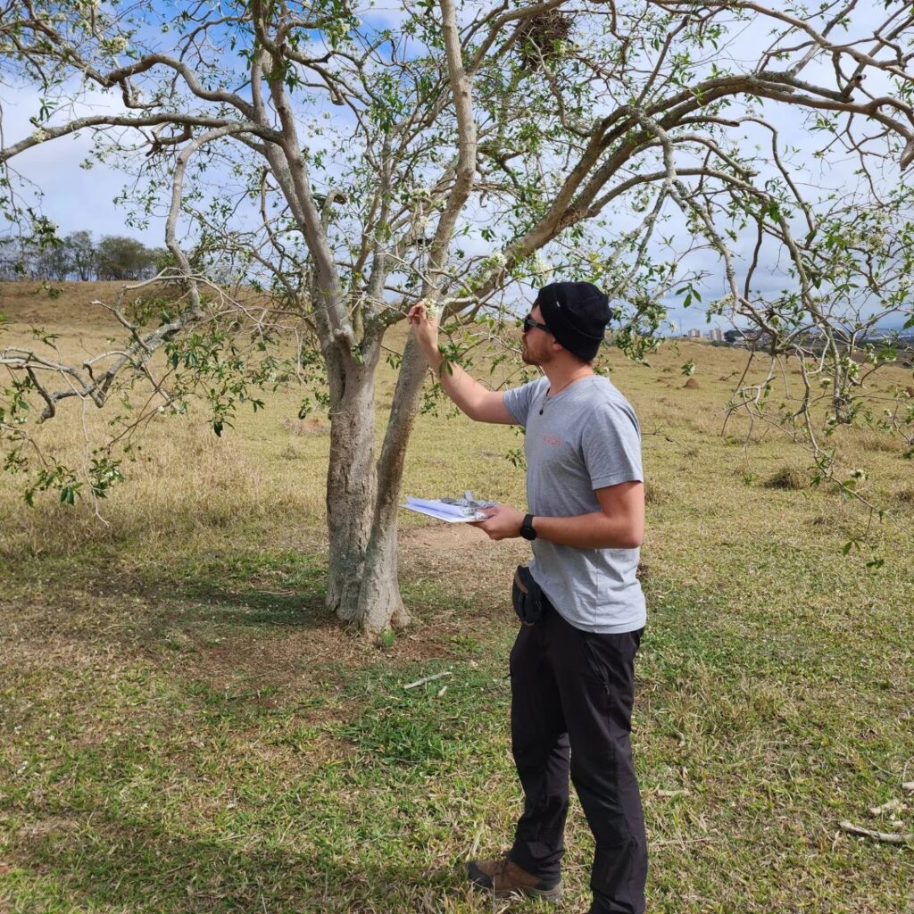 como elaborar um inventário florestal