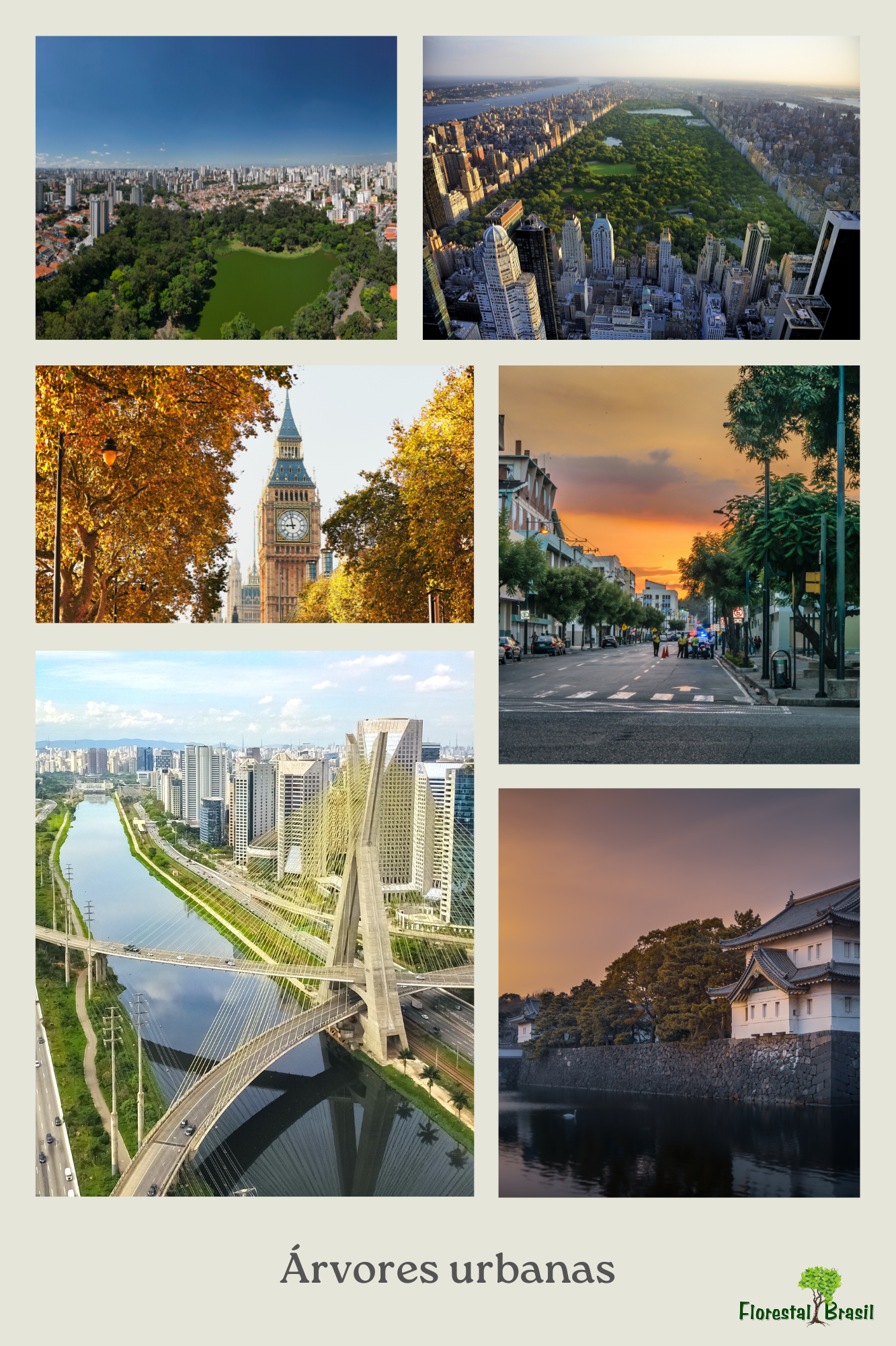 Serviços Ecossistêmicos e Valorização da Regulação das árvores urbanas