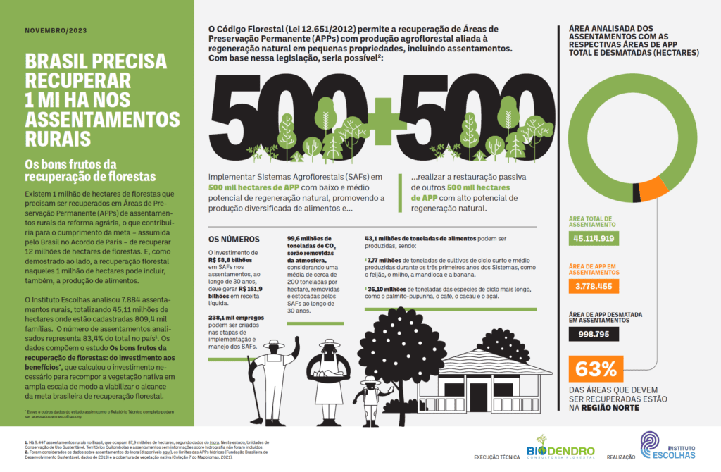Brasil precisa recuperar 1 milhão de hectares