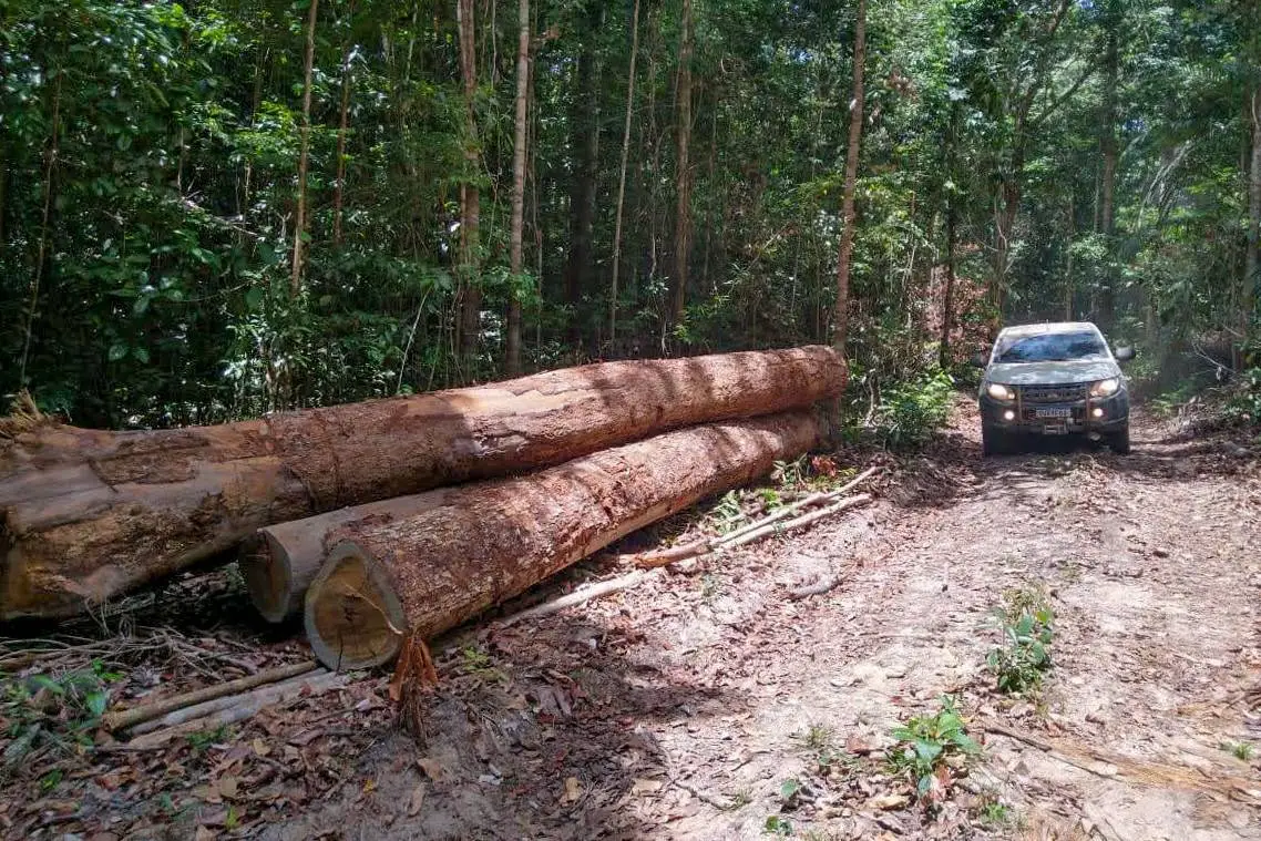 Sistema B Brasil alerta empresas para barrar colapso da Amazônia