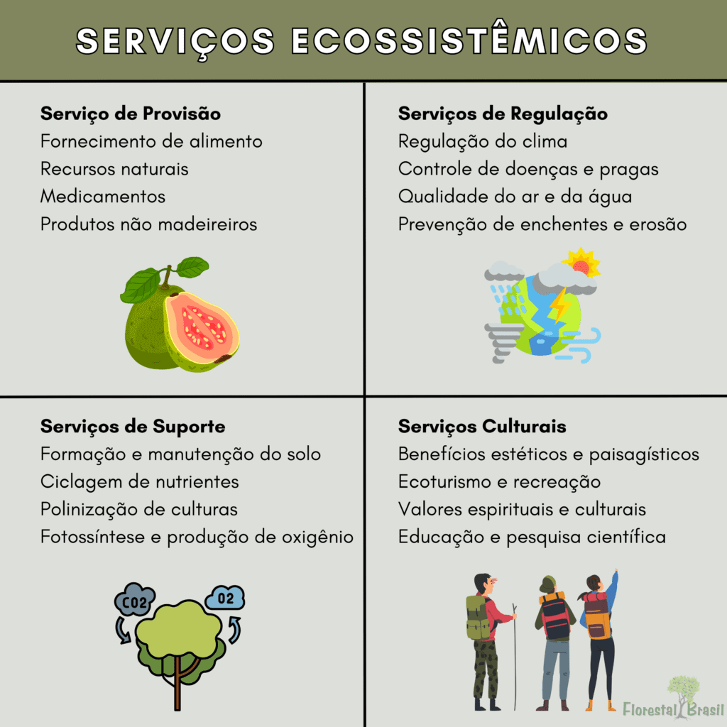 SERVIÇOS ECOSSISTEMICOS