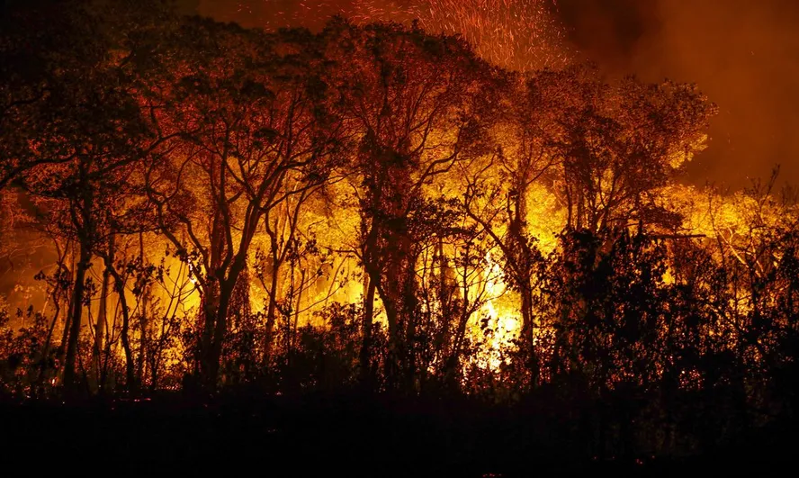 Pantanal tem mais de 3 mil incêndios apenas em novembro