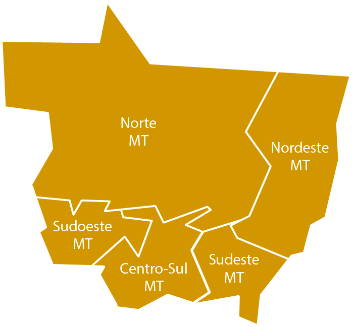 SC, RS, PA E MT Lideram mercado madeireiro em 2023.