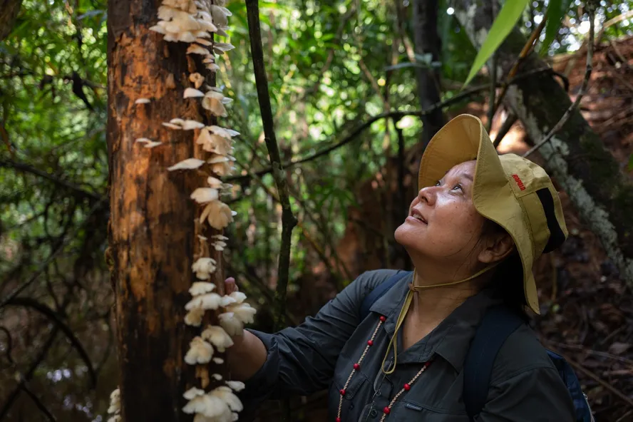 A Micóloga Noemia Kazue Ishikawa no TEDxAmazônia: Os Fungos e o Ciclo da Vida na Natureza