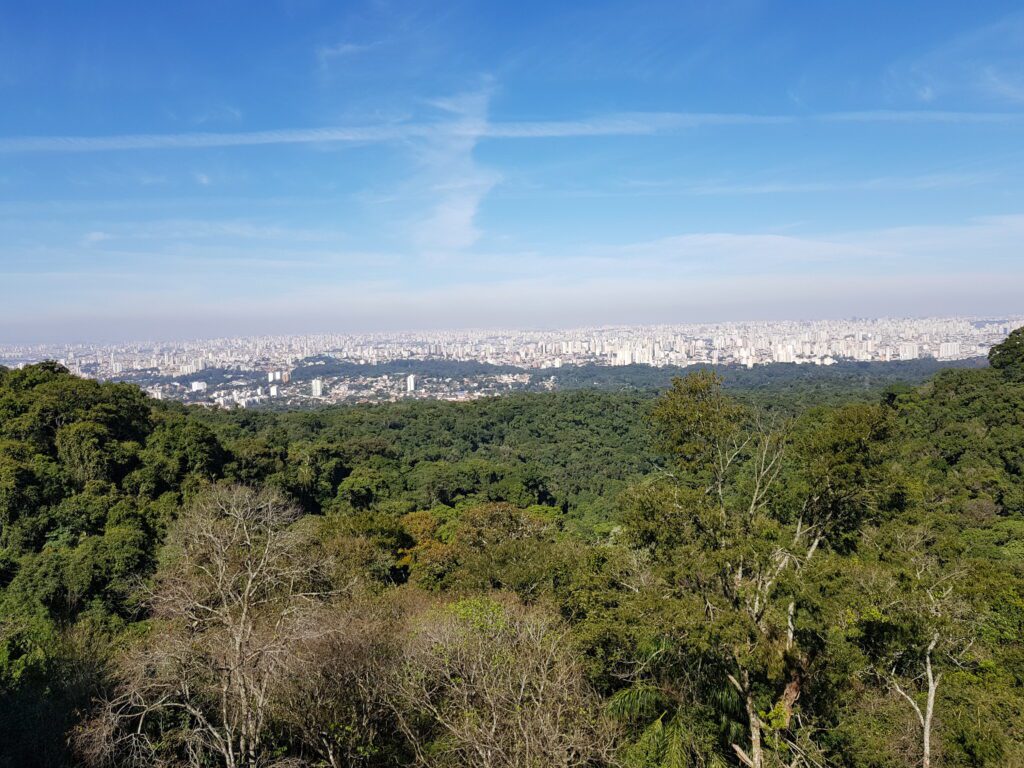 Parque Estadual da Cantareira