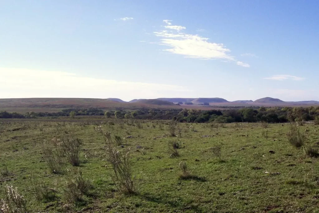 Pampa abriga 9% da biodiversidade