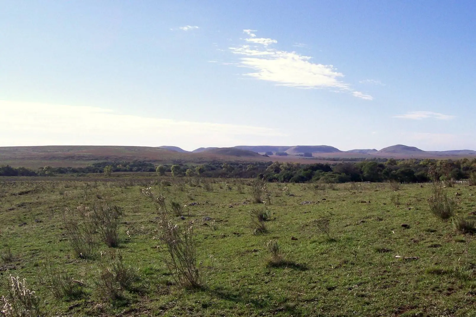 Estudo aponto que o Pampa abriga 9% da biodiversidade do Brasil