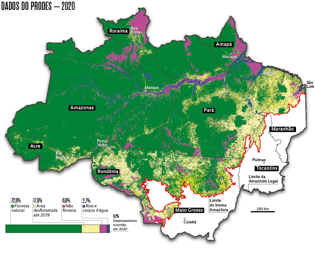 Amazônia ocupada por pastagens e agricultura