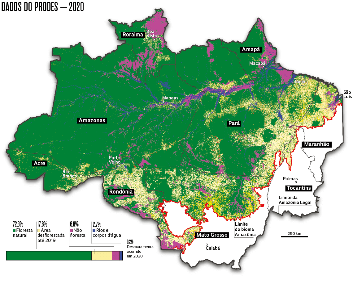 Amazônia tem 14% da área ocupada por pastagens e agricultura